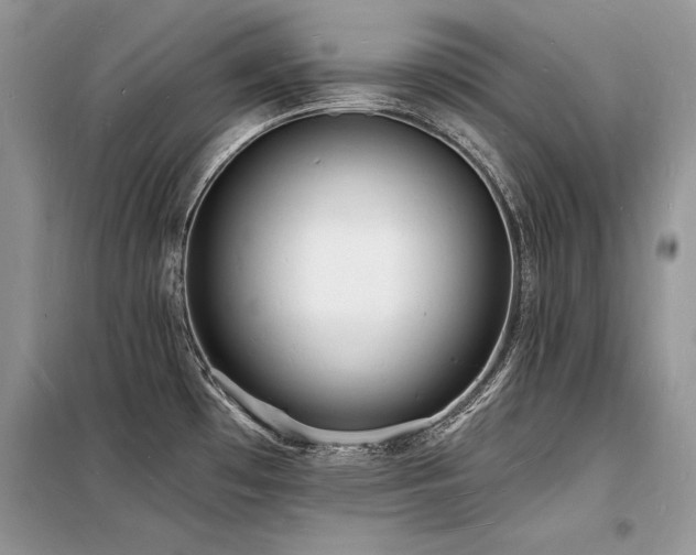 X0000098231481200804241329