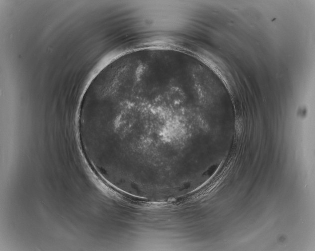 X0000098231482200804241329