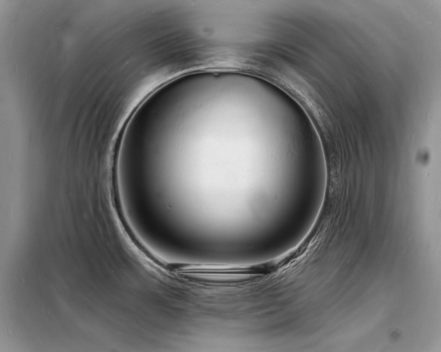 X0000098231483200804241329