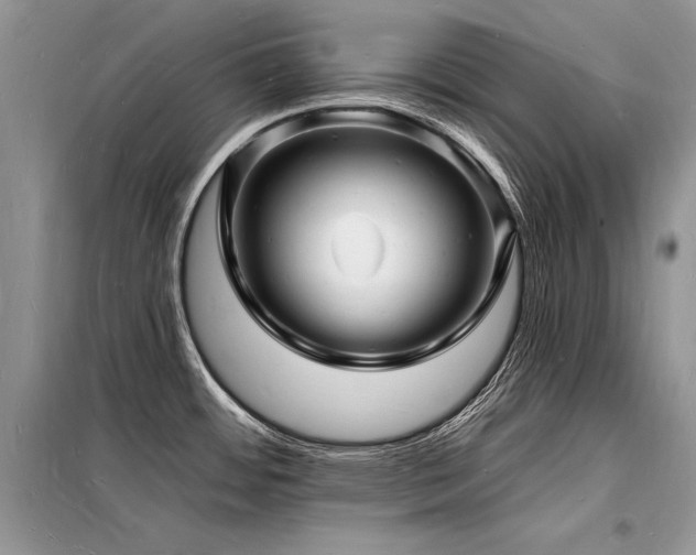 X0000098231484200804241329
