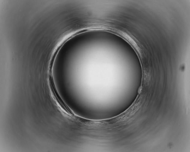 X0000098231485200804241329