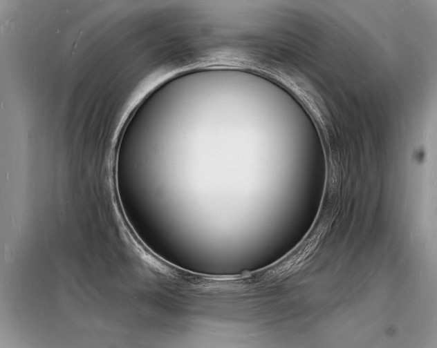 X0000098231486200804241329
