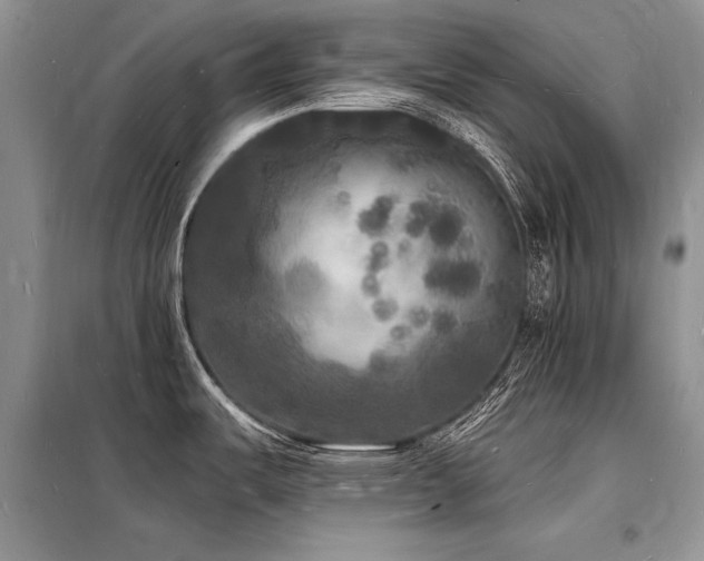 X0000098231487200804241329