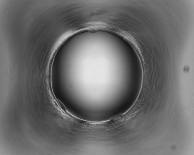 X0000098231488200804241329