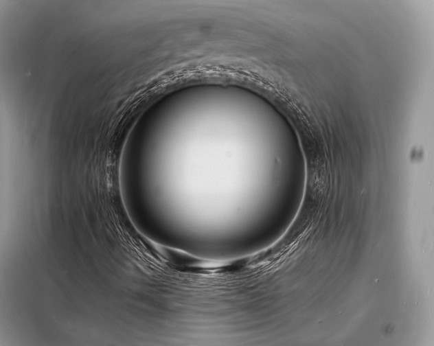 X0000098231490200804241328