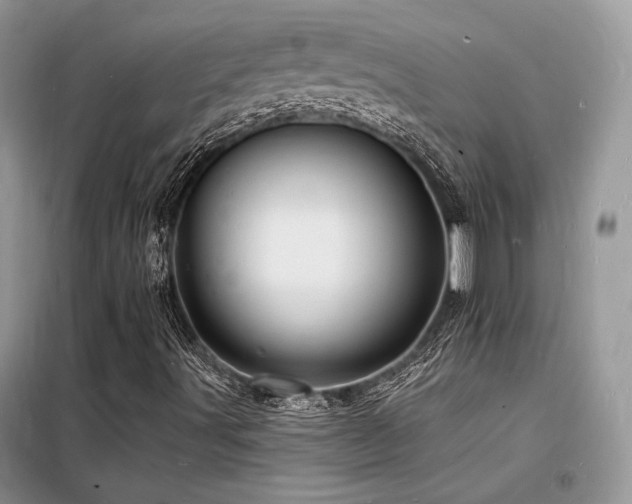 X0000098231491200804241328