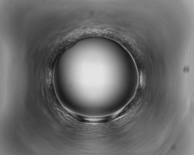 X0000098231492200804241328