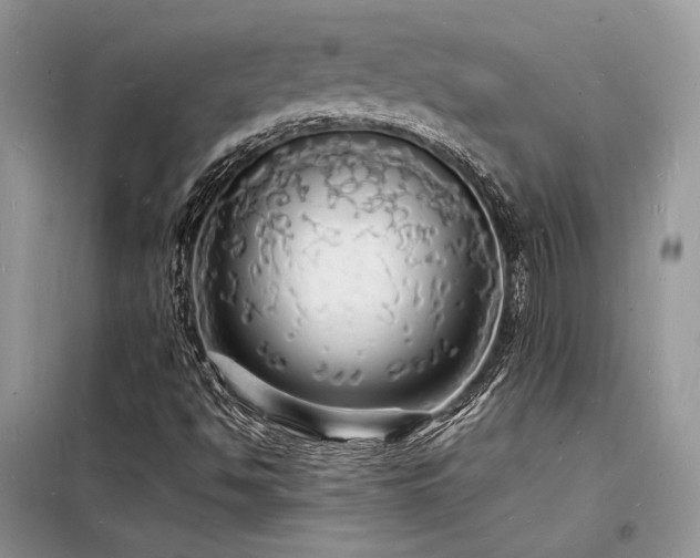 X0000098231494200804241328