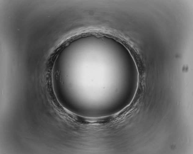 X0000098231496200804241328