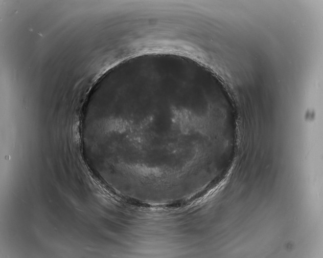 X0000098231497200804241328