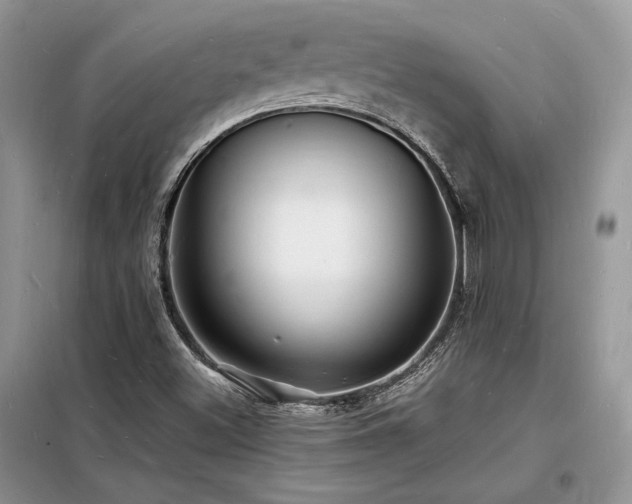X0000098231500200804241328