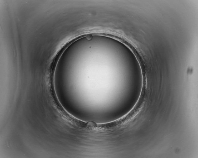 X0000098231501200804241328