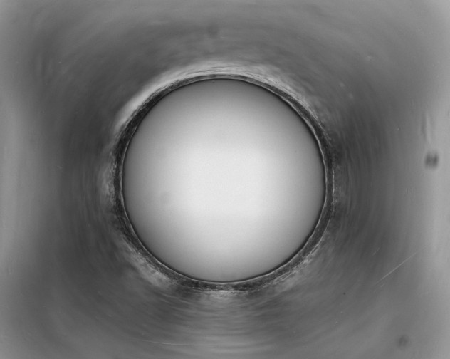X0000098231502200804241328