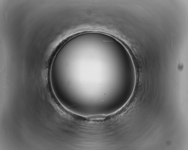 X0000098231503200804241328