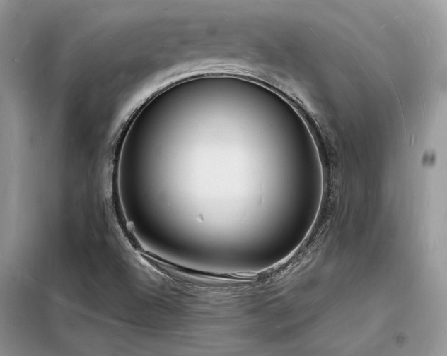 X0000098231504200804241329