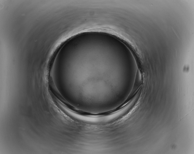 X0000098231506200804241329