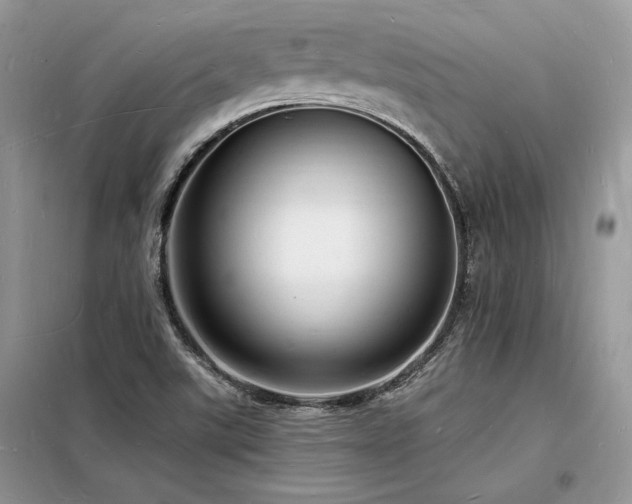 X0000098231507200804241329