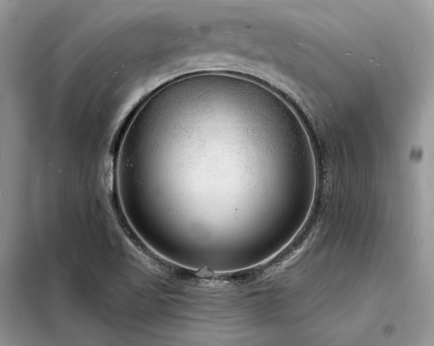 X0000098231509200804241329