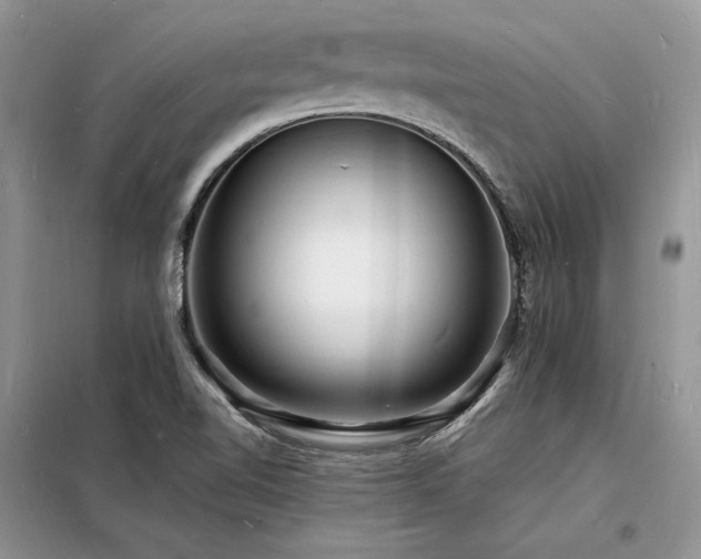 X0000098231510200804241329