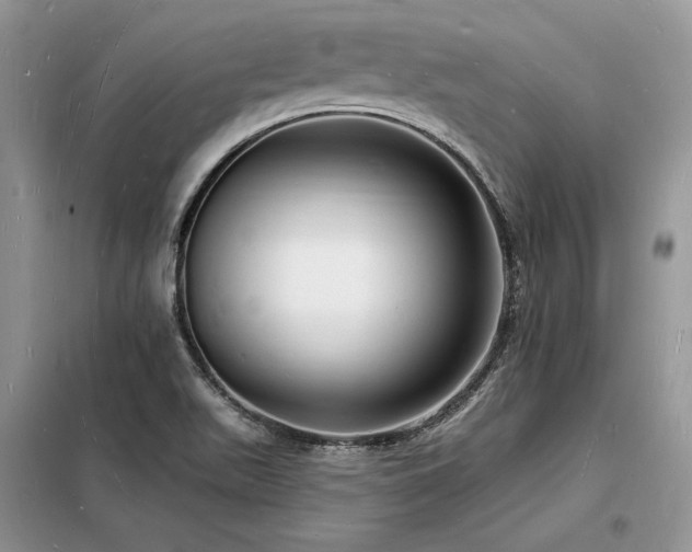 X0000098231511200804241329