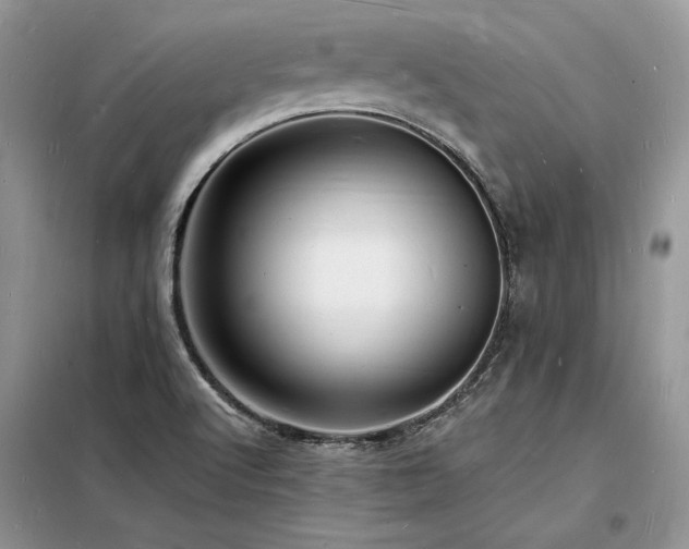 X0000098231512200804241329