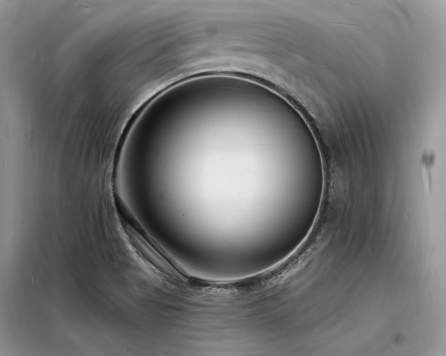 X0000098231513200804241329