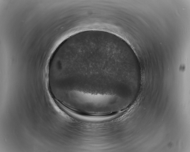 X0000098231515200804241329