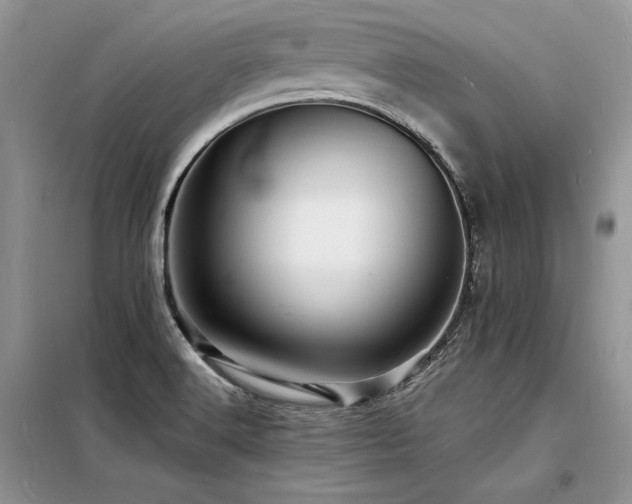 X0000098231516200804241329