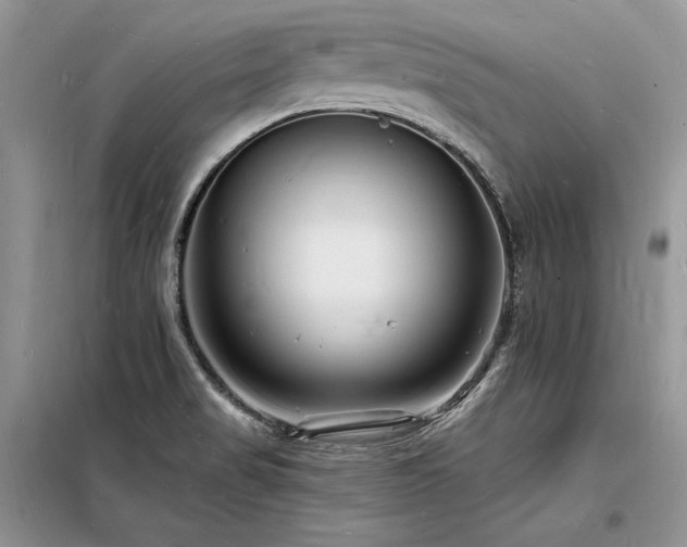 X0000098231517200804241329