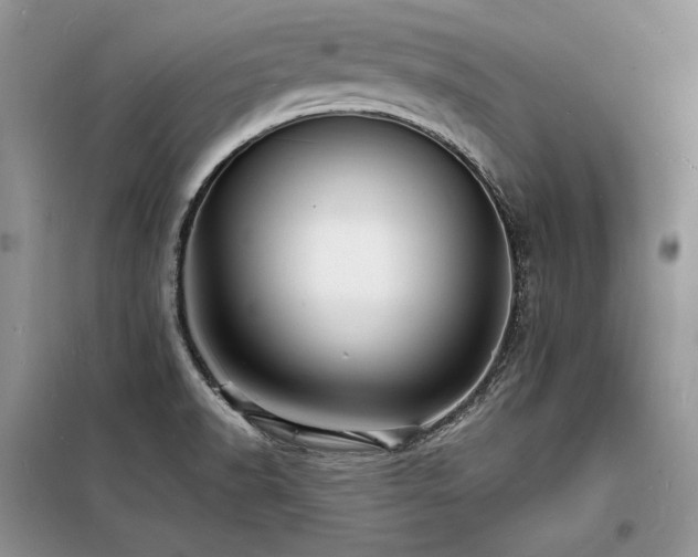 X0000098231518200804241329