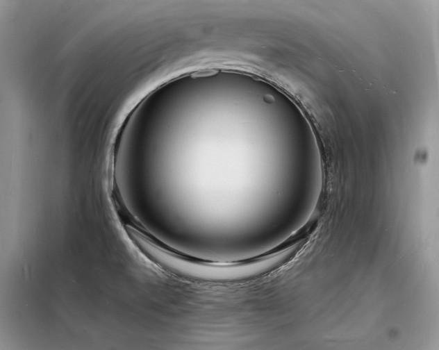 X0000098231520200804241329