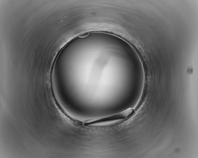 X0000098231521200804241329