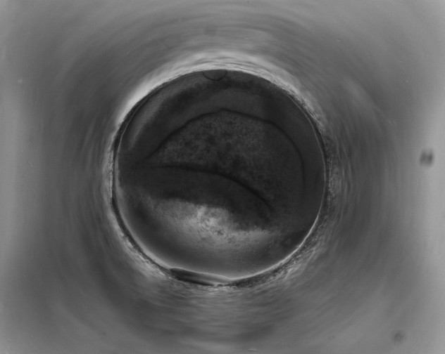 X0000098231522200804241329