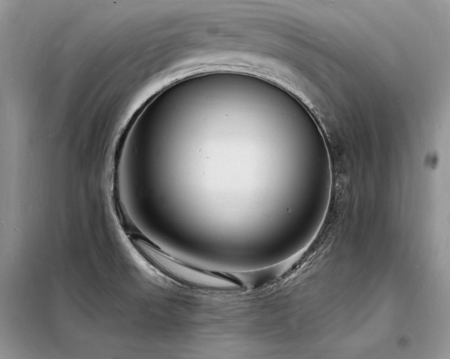 X0000098231523200804241329