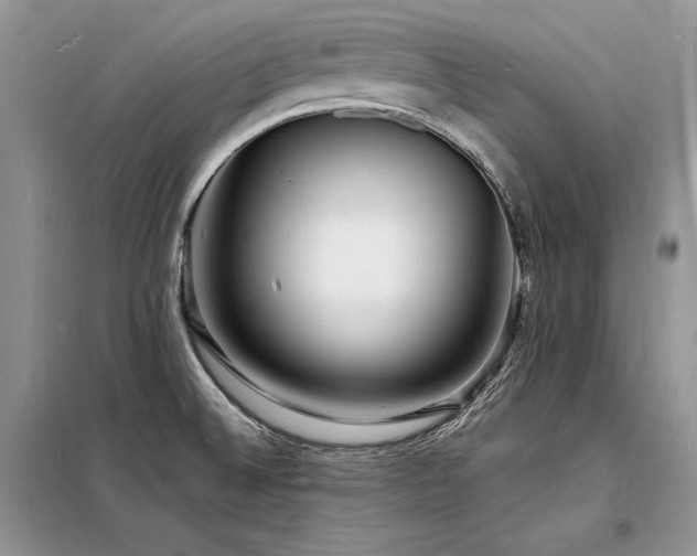 X0000098231524200804241329