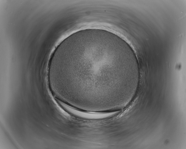 X0000098231525200804241329