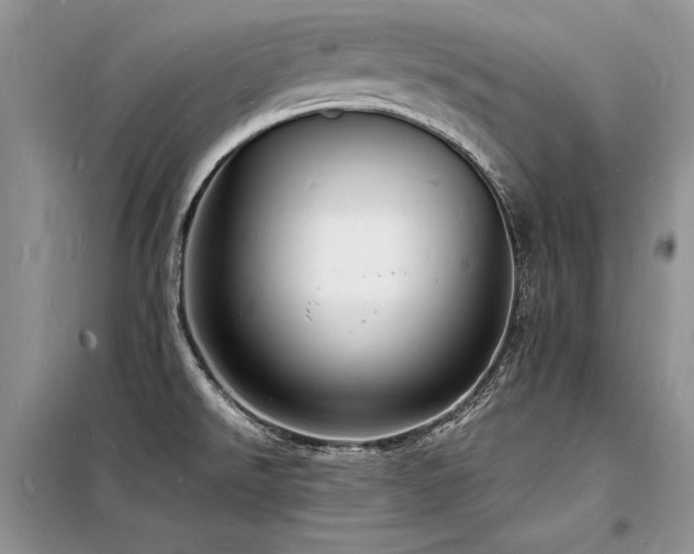 X0000098231526200804241329