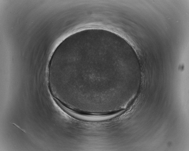 X0000098231527200804241329