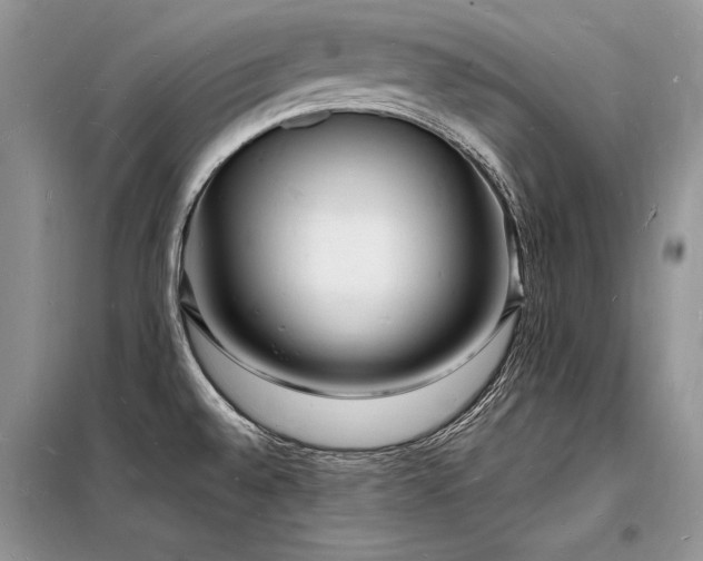 X0000098231528200804241329