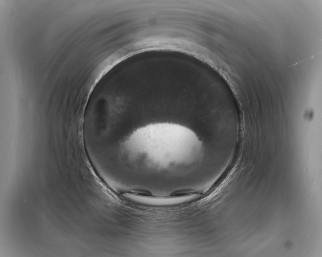 X0000098231529200804241329