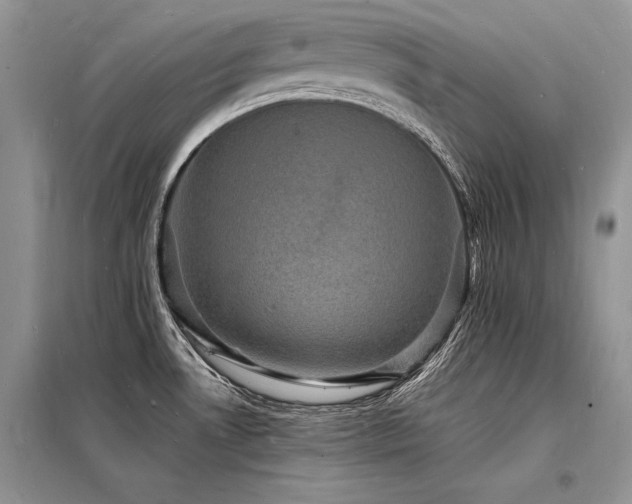 X0000098231530200804241329
