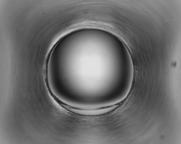 X0000098231531200804241329