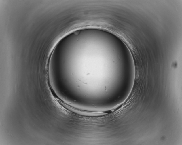 X0000098231532200804241329