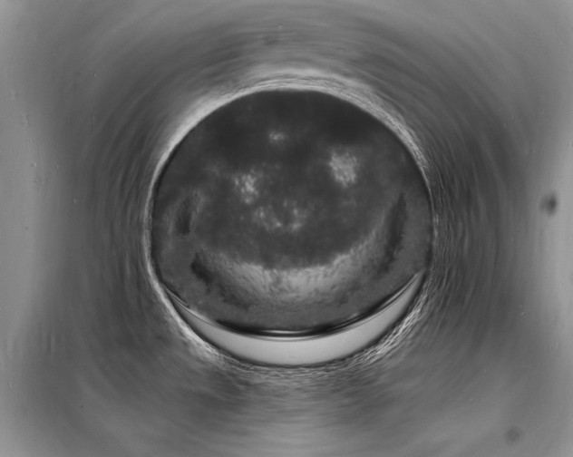 X0000098231533200804241329