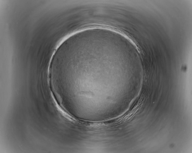 X0000098231535200804241329