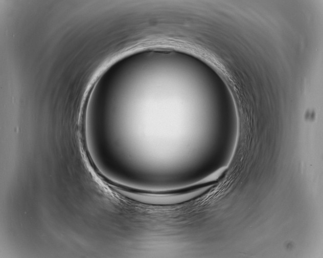 X0000098231536200804241329