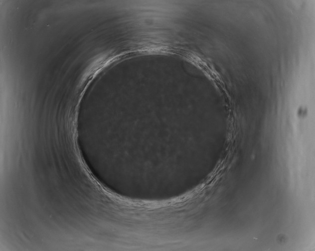 X0000098230002200805011309