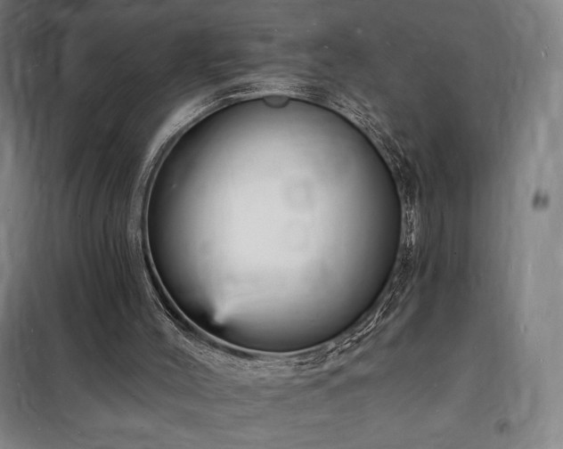 X0000098230004200805011309