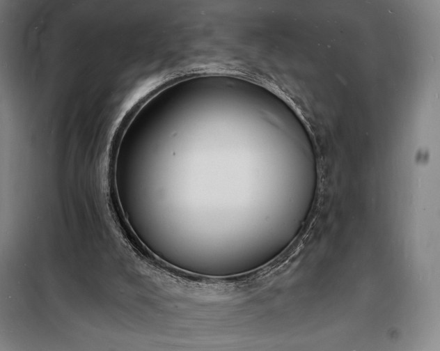 X0000098230008200805011309