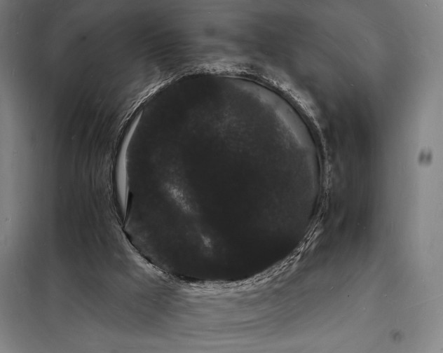 X0000098230009200805011309